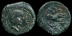 lt 4316.jpg
